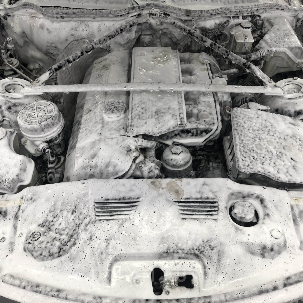 BMW Z4 - Мойка двигателя